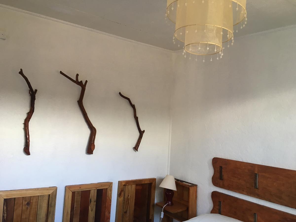 Cabanas Fischer Spa Niebla Exterior photo