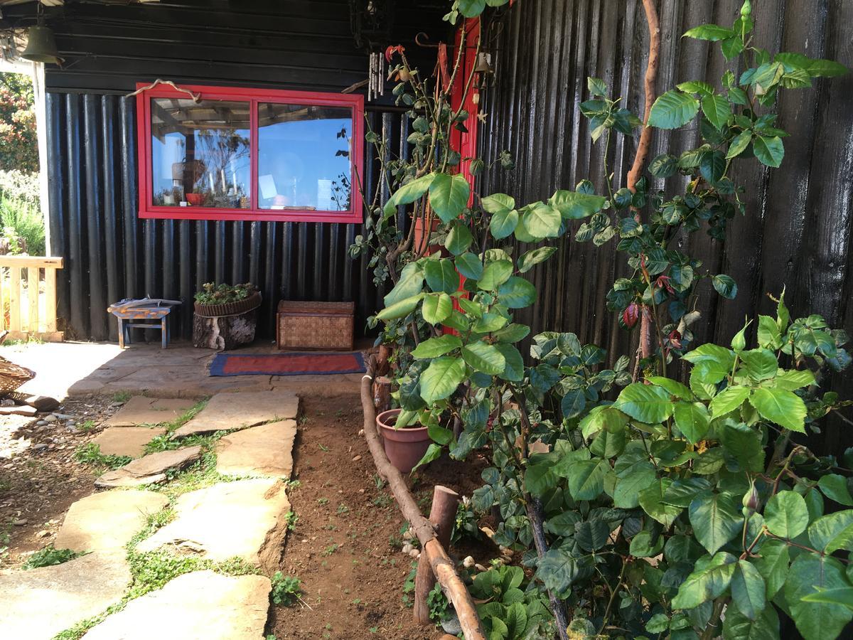 Cabanas Fischer Spa Niebla Exterior photo